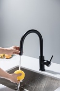 BLUE WATER PLAZA PLUS CZARNY MAT - BATERIA ZLEWOZMYWAKOWA Z WYCIĄGANĄ WYLEWKĄ 2-FUNKCYJNA CZARNY MAT